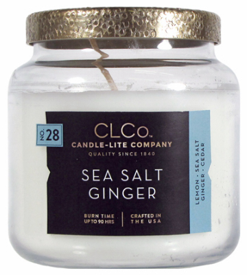14OZ SS Ginger Candle