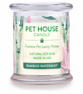 8.5OZ Watermint Candle