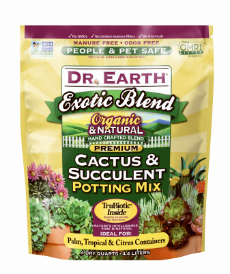 4QT Cact/Succ Pott Mix