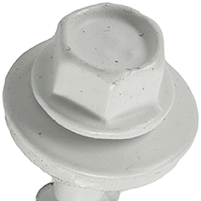 250PC 10x1.5 WHT Screw
