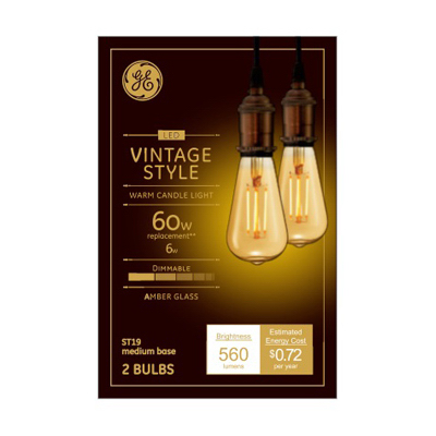 GE 2PK 6W WW ST19 Bulb