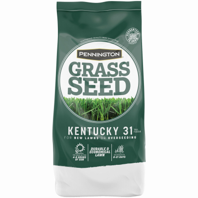 10LB KY31 Fescue Seed