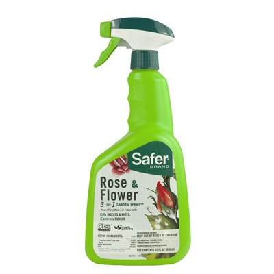 32OZ RTU RSE/FLWR Spray