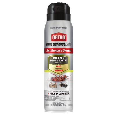 14OZ Ant/Spider Killer