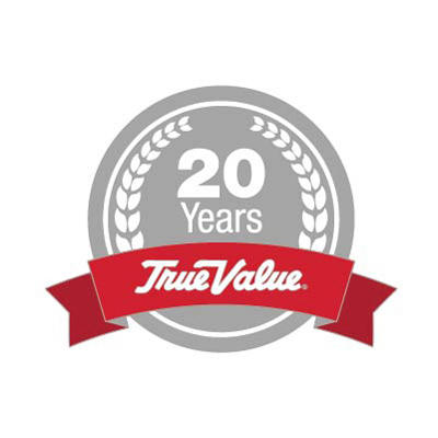 TV 20YR Anniv Pin