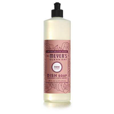 16OZ RSE Dish Soap