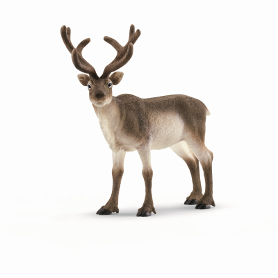 BRN Reindeer