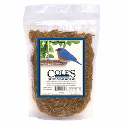 .25LB Dried Mealworms