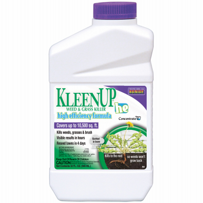 QT Conc Kleenup HE