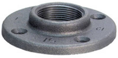 1" BLK FLR Flange