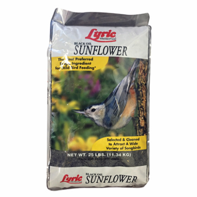 25LB BLK Oil Sun Seed