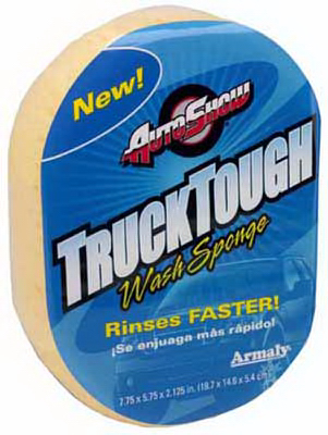 Oval AP Sponge