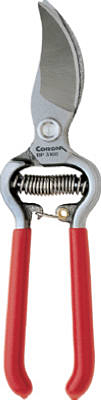 By Pruner