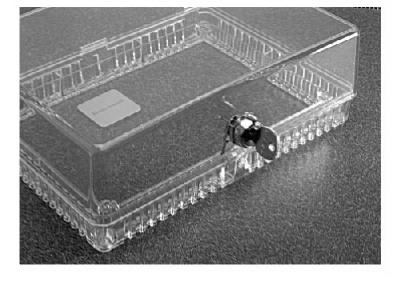 CLR Thermostat Cover