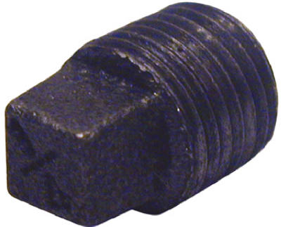 1" BLK Plug