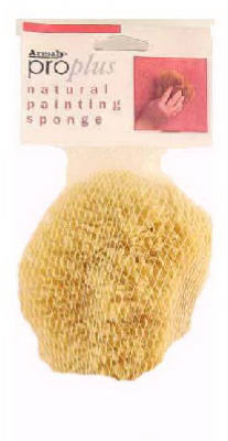 SM MED Tex Paint Sponge