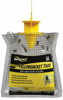 Disp Yellowjacket Trap