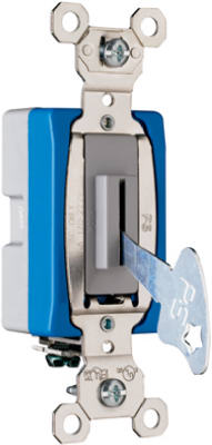 Locking Switch Key