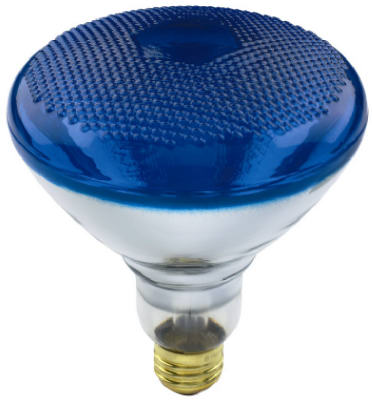WP 100WBR38BLU FLD Bulb