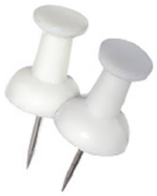 16PK WHT Push Pin