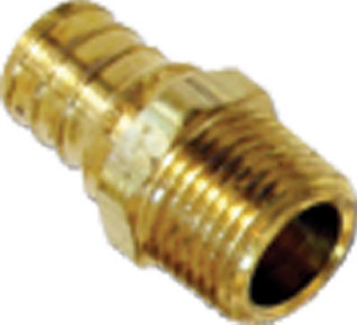 10PK 3/4x3/4MPT Adapter
