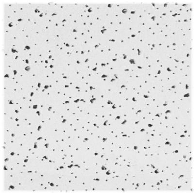 2x4 RadarCeil Tile