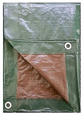 TG 8x10 GRN/BRN Tarp