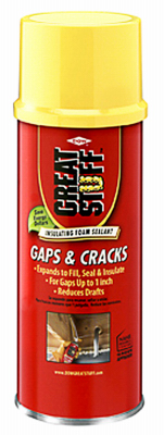 12OZ Gap & Crack Foam