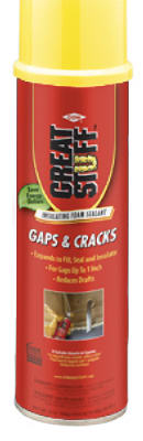 20OZ Gap & Crack Foam