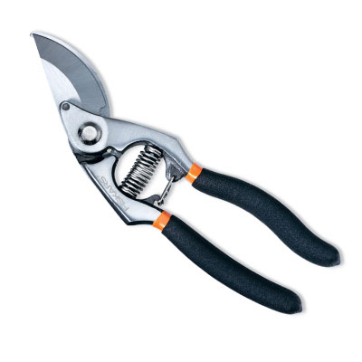 Forg Bypass Pruner