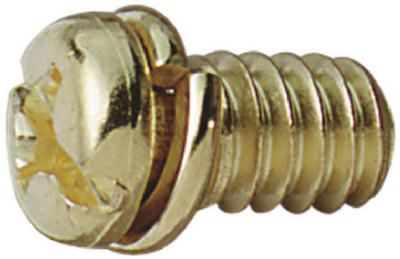10PK AB Motor Screw