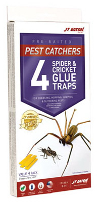 4PK Crick/Spid GlueTrap