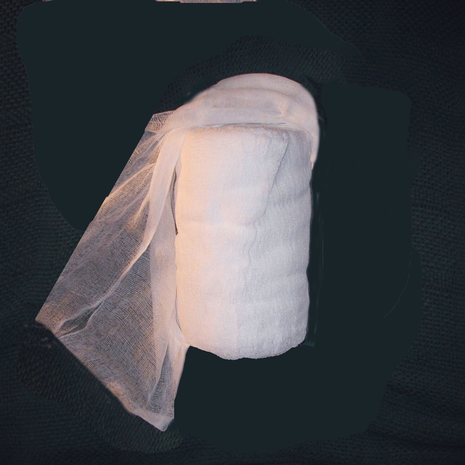 Cloth, Cleaning, White, 21" x 10"